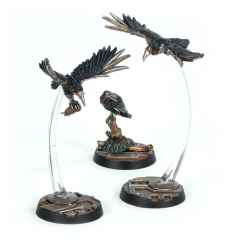 Cawdor Sheen Birds