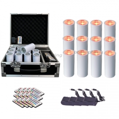 BothLighting Chroma Cannons 15W RGBAW UV Battery Power LED Can Wireless DMX Uplight Effect light