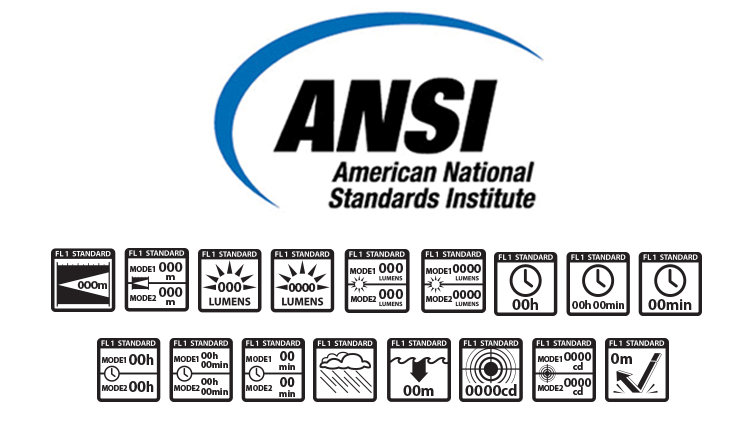 What is ANSI/PLATO FL 1 2019 Standard?