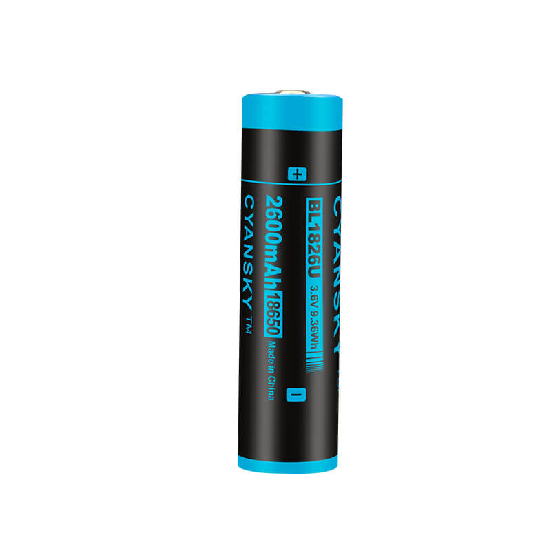 2600mAh 18650 Battery with USB Charging Port