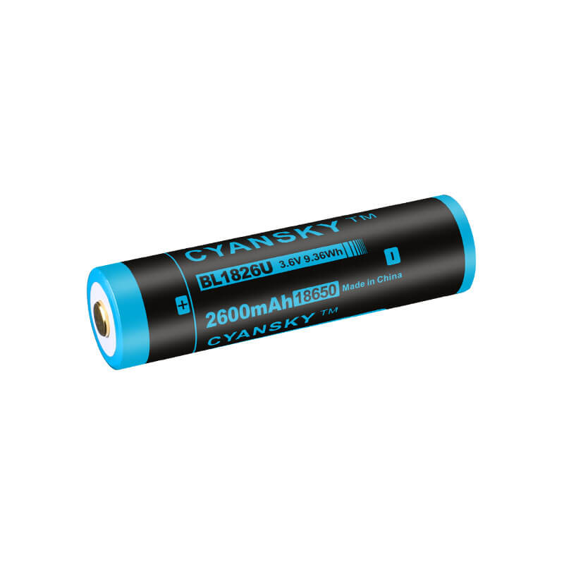 2600mAh 18650 Battery with USB Charging Port