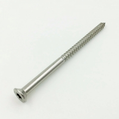 Customized Stainless Steel Screw