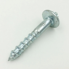 Customized Special Screw