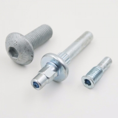 Customized Special Socket Screw