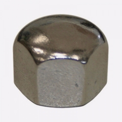 Hex Cap Nuts made of Steel and Stainless Steel