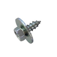 Special Customized Tapping Screws