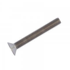 Stainless Steel Socket Screws