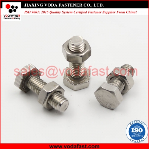 Stainless Steel Hex Bolts with Nuts