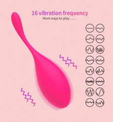 Vibrator Egg