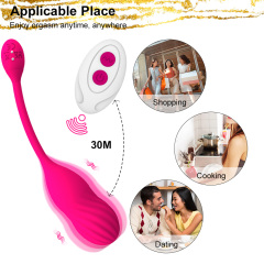 Vibrator Egg