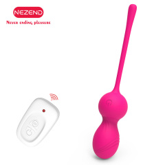 Vibrator Egg