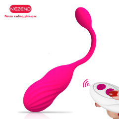 Vibrator Egg