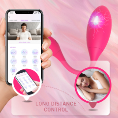 Bluetooth Vibrator Egg