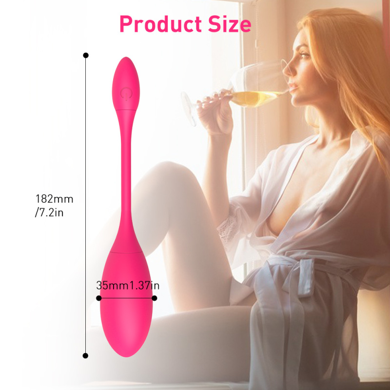 Bluetooth Vibrator Egg