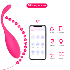 Bluetooth Vibrator Egg