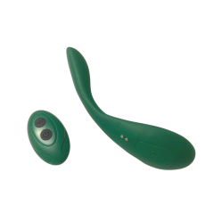 Remote control vibrator