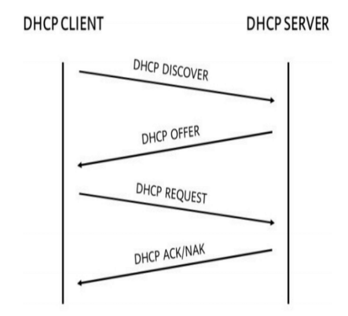 Процесс применения DHCP-адреса