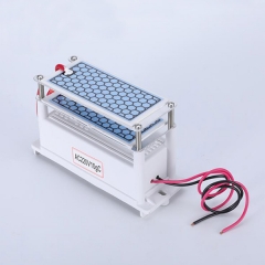 Ozone Generator 10g/H for Air Purifier, JB-C10G