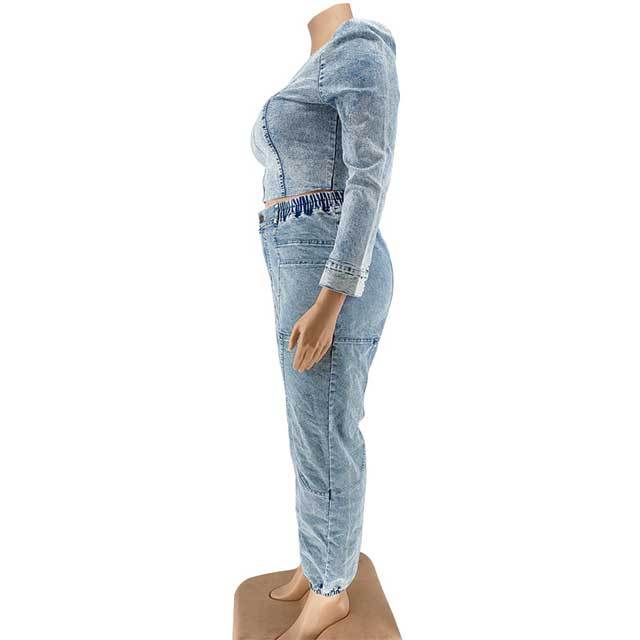 Plus Size Single Sleeve Top Denim Pants Set