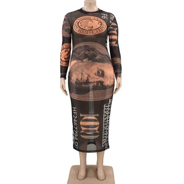 Plus Size Dollar Print Mesh Dress