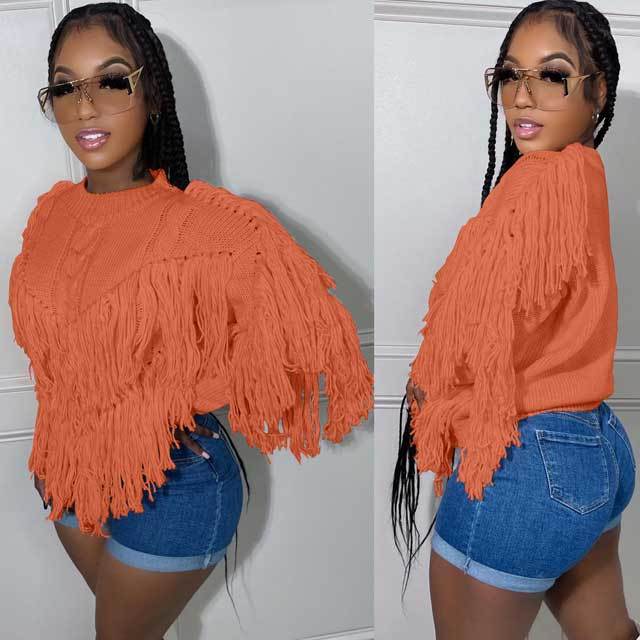 Crochet Knit Fringe Sweater Top