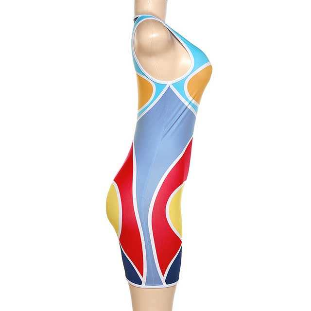 Color Block Sleeveless Bodycon Dress