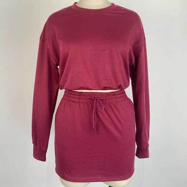 Basic Sweatshirt Top Skirt Set