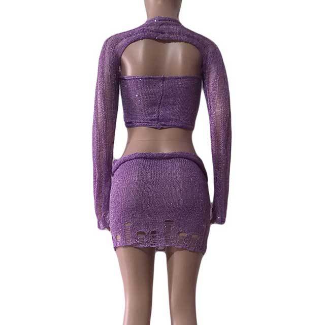 Sequin Knit Sweater Skirt Set
