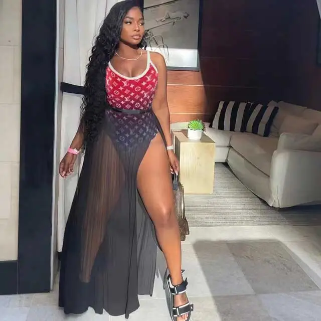Printed One Piece With Slit Mesh Skirt