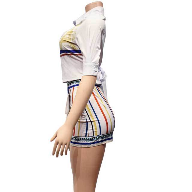 Printed Shirt Top Irregular Skirt Set