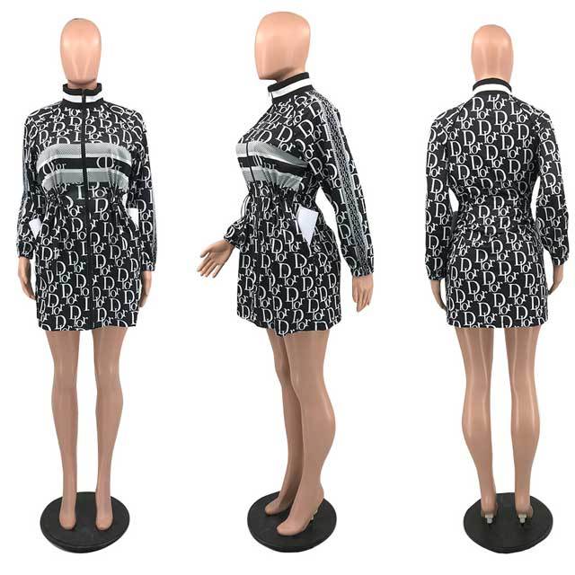 Printed High Neck Long Sleeve Dress