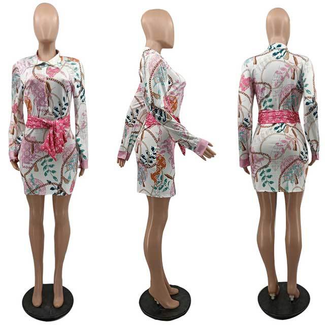 Printed Tied Shirt Dress