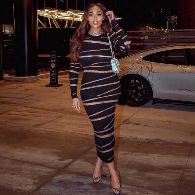 Knit Mesh Long Sleeve Maxi Dress