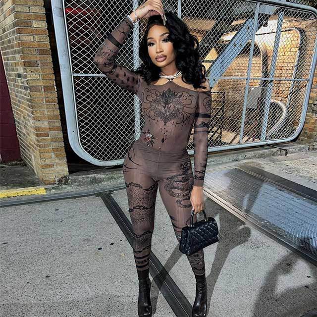 Mesh Printed Bodysuit Pants Set