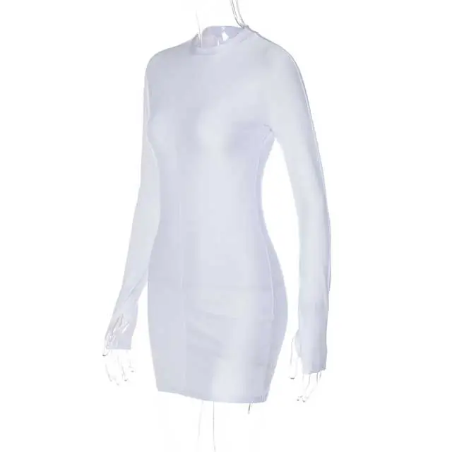 Basic Long Sleeve Bodycon Dress