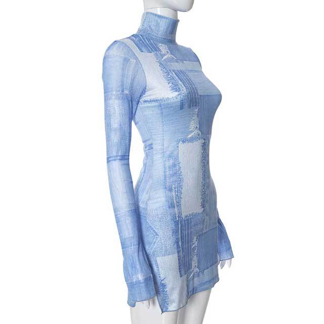 Mesh Sleeve Printed High Neck Dress