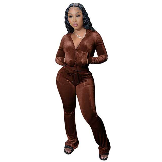 Velvet Hooded Top Casual Pants Set