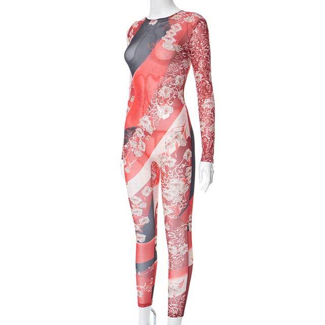 Mesh Printed Long Sleeve Jumpsuit