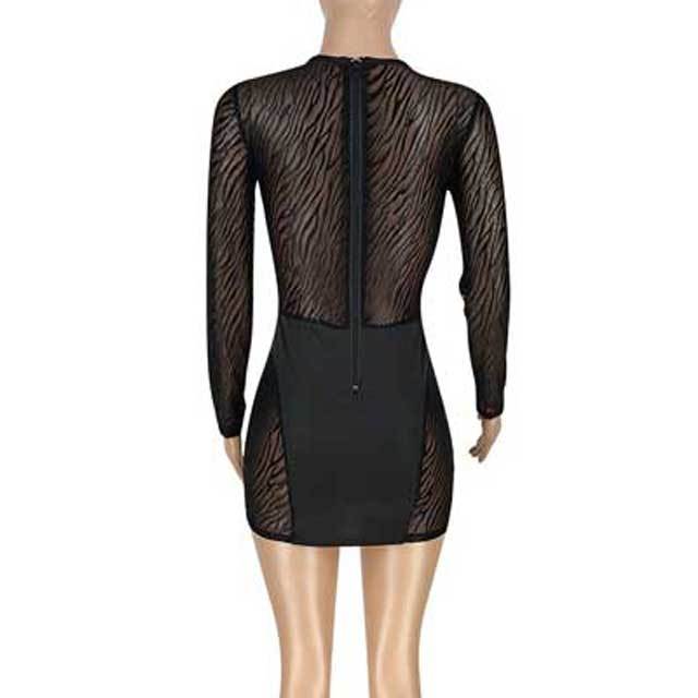 Hollow Out Mesh Long Sleeve Bodycon Dress