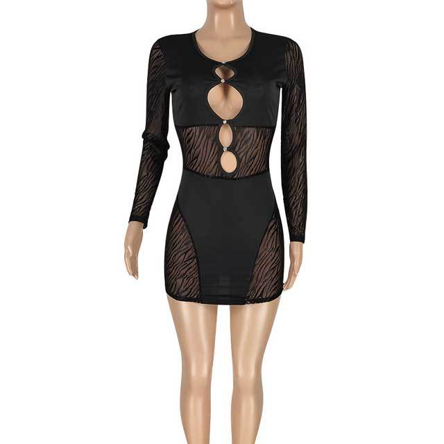 Hollow Out Mesh Long Sleeve Bodycon Dress