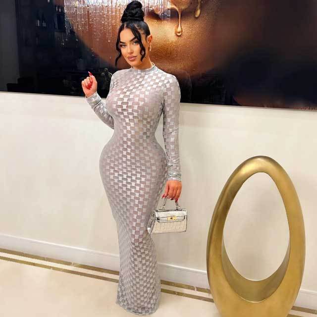 Mesh Jacquard Long Sleeve Maxi Dress