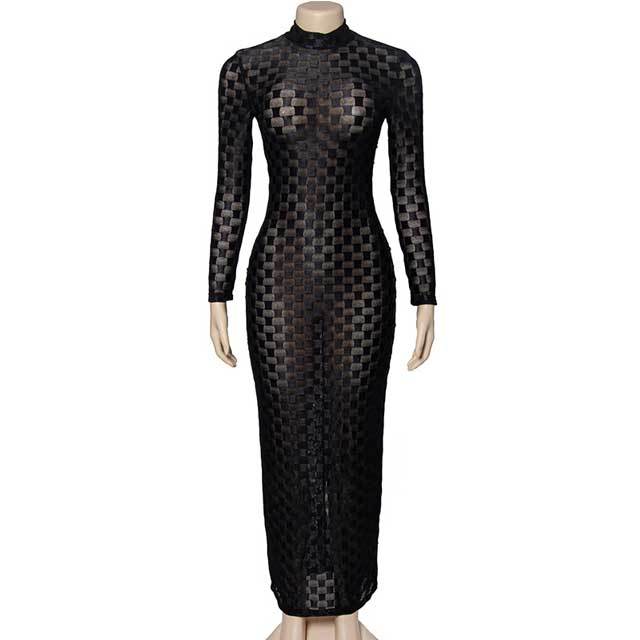 Mesh Jacquard Long Sleeve Maxi Dress