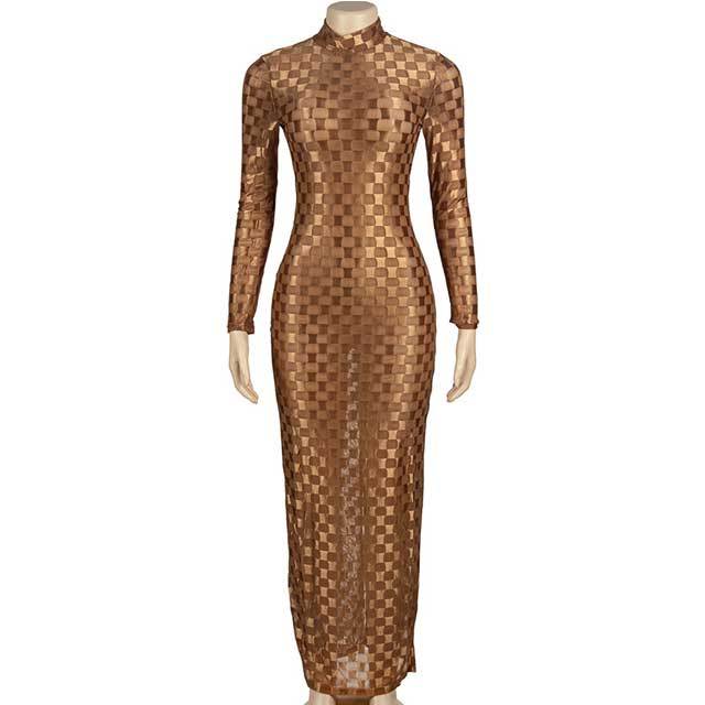 Mesh Jacquard Long Sleeve Maxi Dress