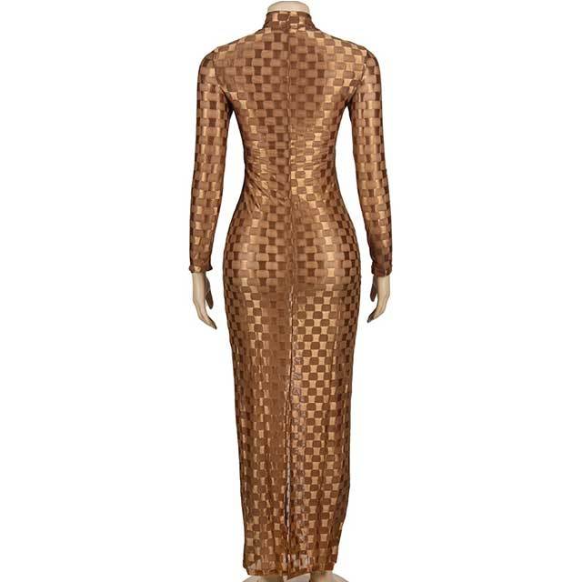 Mesh Jacquard Long Sleeve Maxi Dress