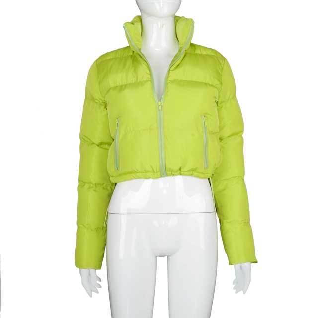 Solid Color Zipped Up Down Jacket