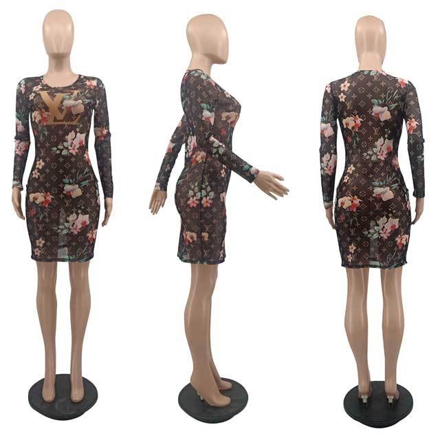Printed Mesh Bodycon Dress