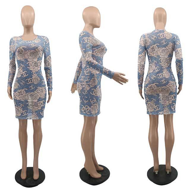 Printed Mesh Bodycon Dress