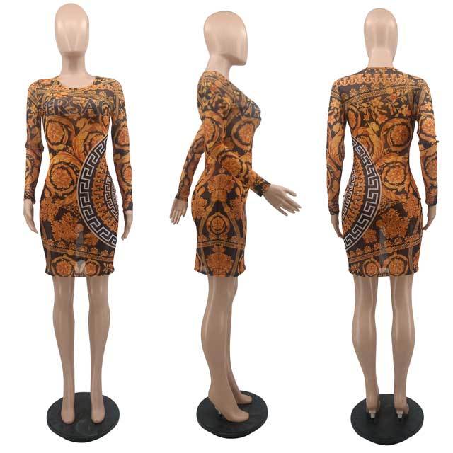 Printed Mesh Bodycon Dress