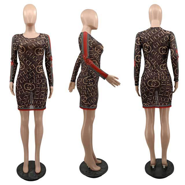 Printed Mesh Bodycon Dress