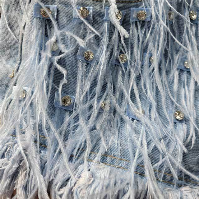 Rhinestones Feather Denim Shorts